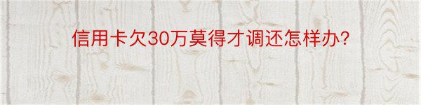 信用卡欠30万莫得才调还怎样办？