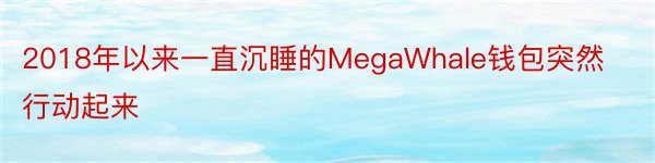 2018年以来一直沉睡的MegaWhale钱包突然行动起来