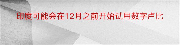 印度可能会在12月之前开始试用数字卢比