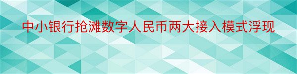 中小银行抢滩数字人民币两大接入模式浮现