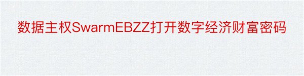 数据主权SwarmEBZZ打开数字经济财富密码