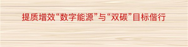 提质增效“数字能源”与“双碳”目标偕行