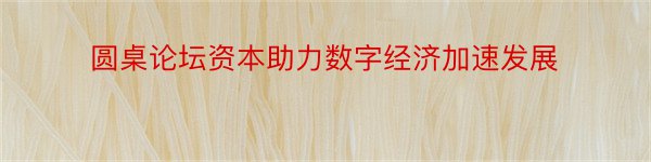 圆桌论坛资本助力数字经济加速发展