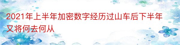 2021年上半年加密数字经历过山车后下半年又将何去何从