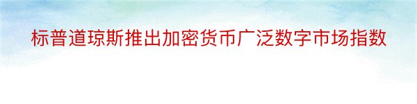 标普道琼斯推出加密货币广泛数字市场指数