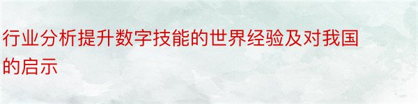 行业分析提升数字技能的世界经验及对我国的启示